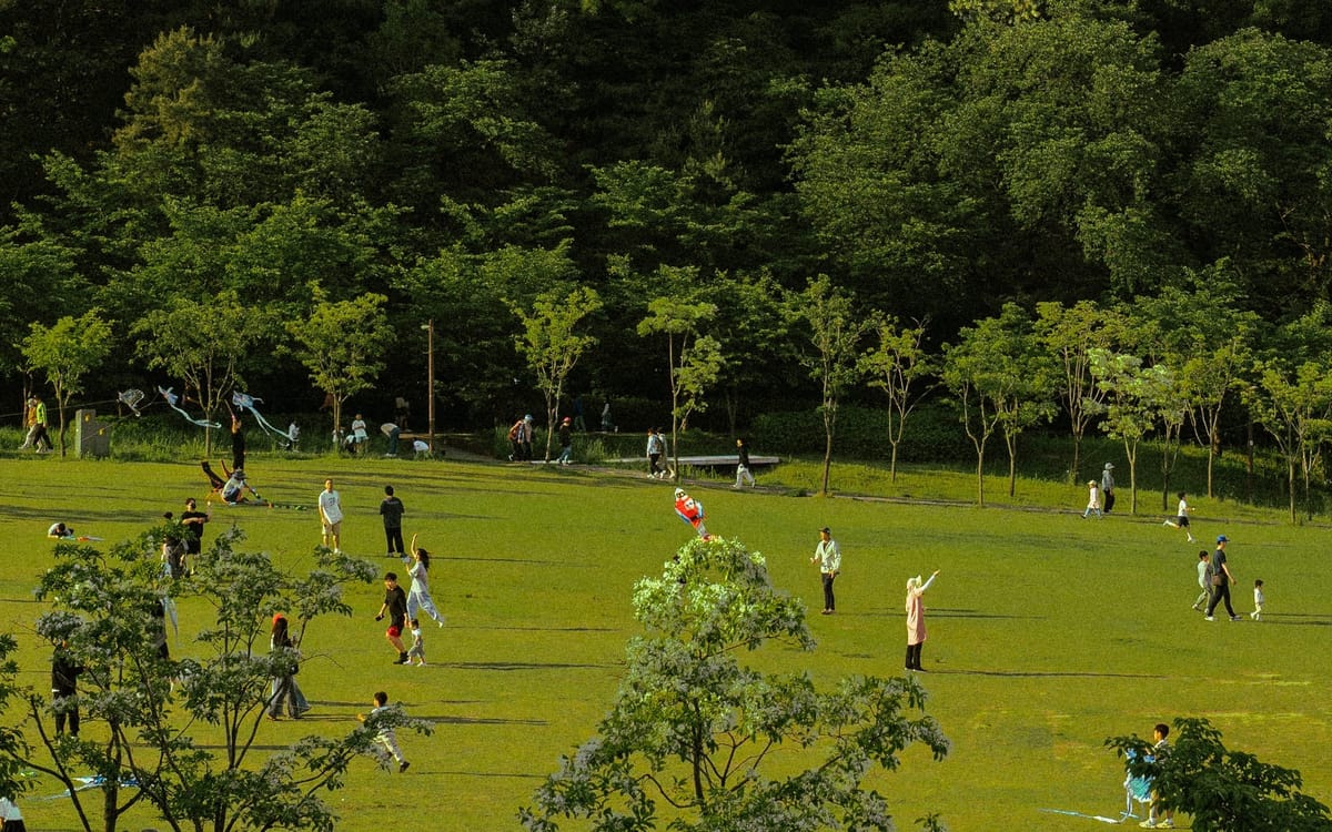 Theo Blog cover image