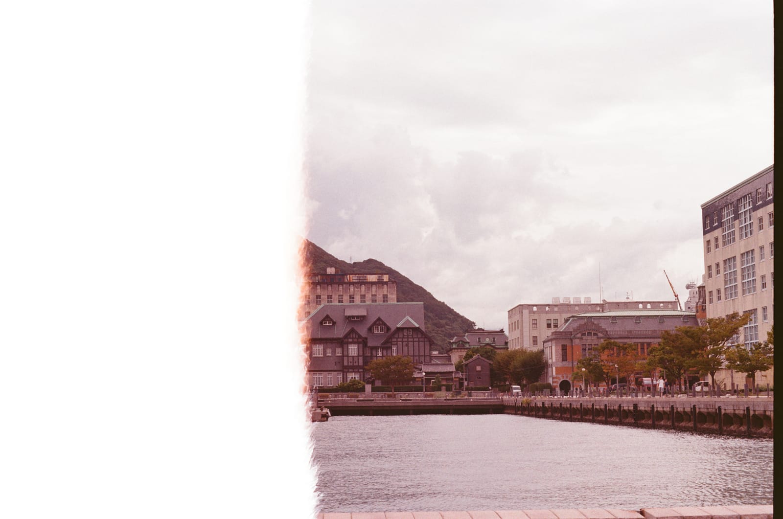 미놀타 X-300와 프로이미지100으로 촬영한 모지코 사진