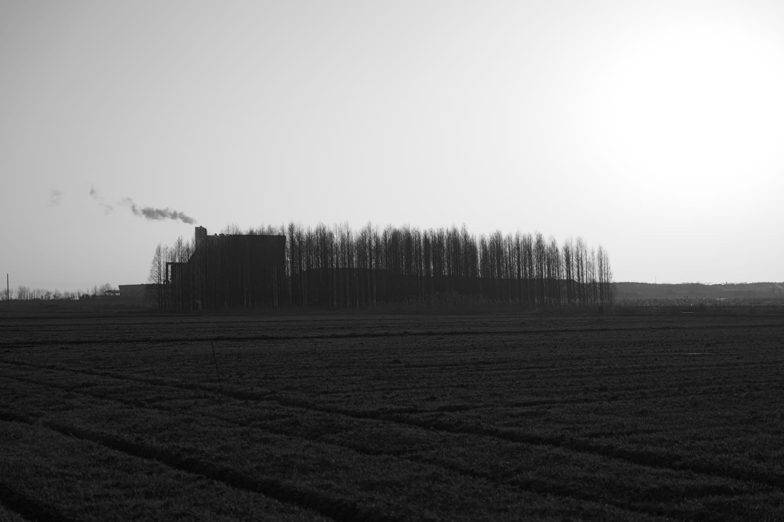 2026년 첫 출사 여행, 시간여행마을 군산(2) post image